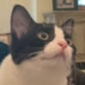 Meet your Posher, Alexander